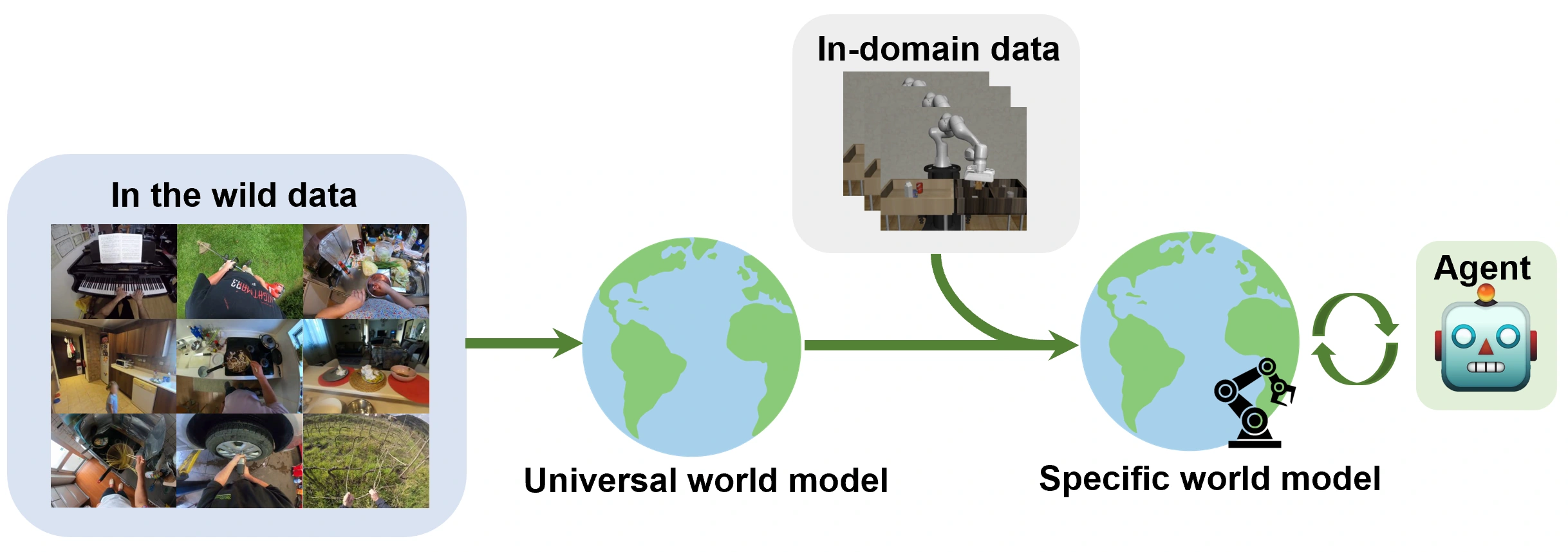 In-the-wild video data trains a universal world model. In-domain robot data adapts it to a specific world model, connected to an agent.